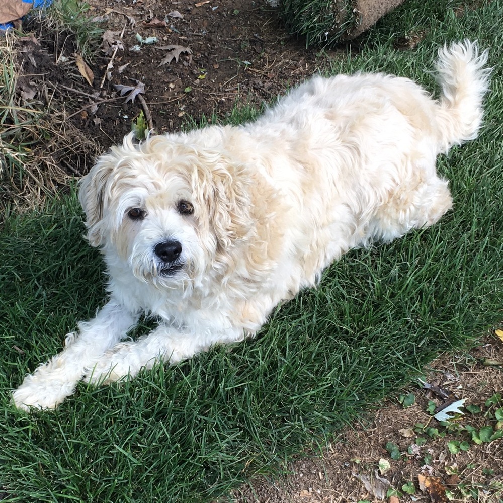 Meet your Posher, Marguerite